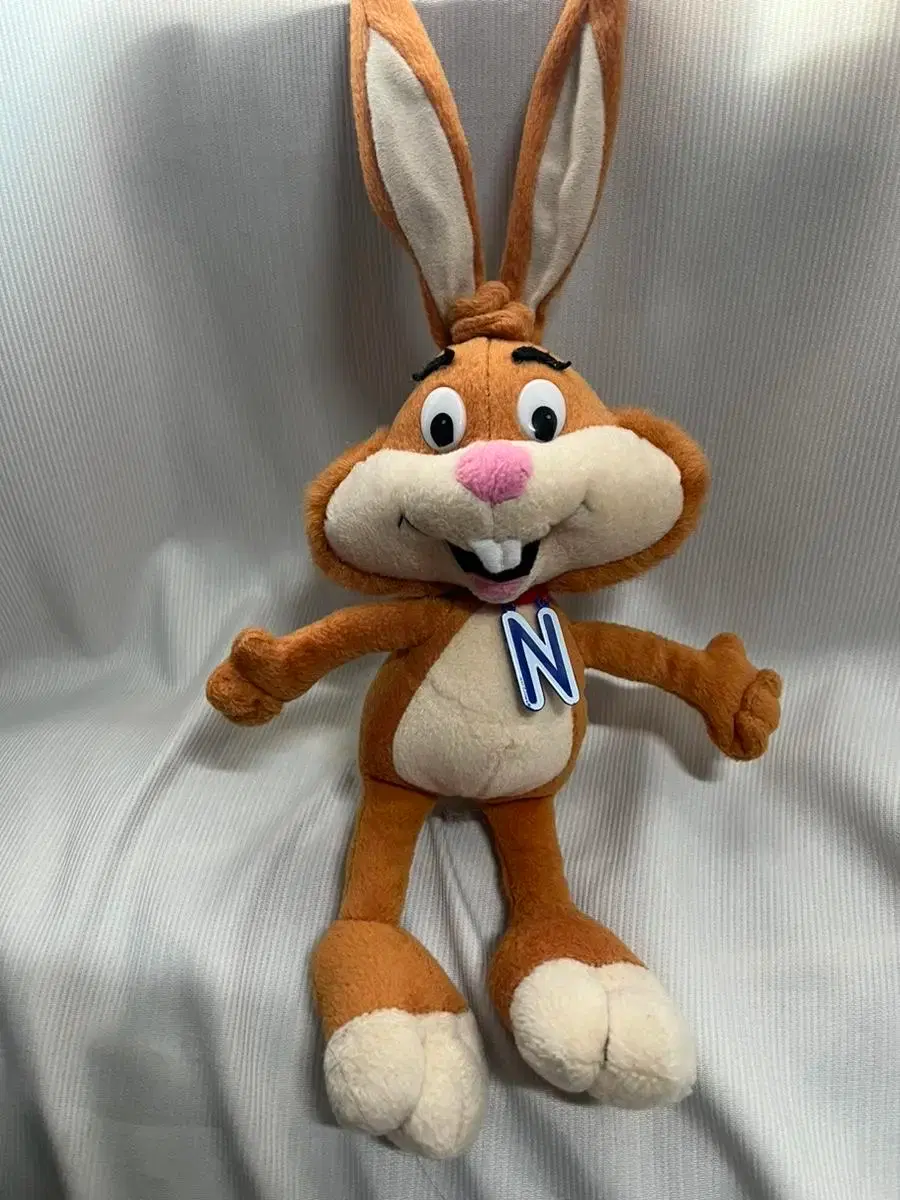 토끼 세계에서 가장 큰 129㎝ '기네스북 토끼' 도둑맞아 | 연합뉴스